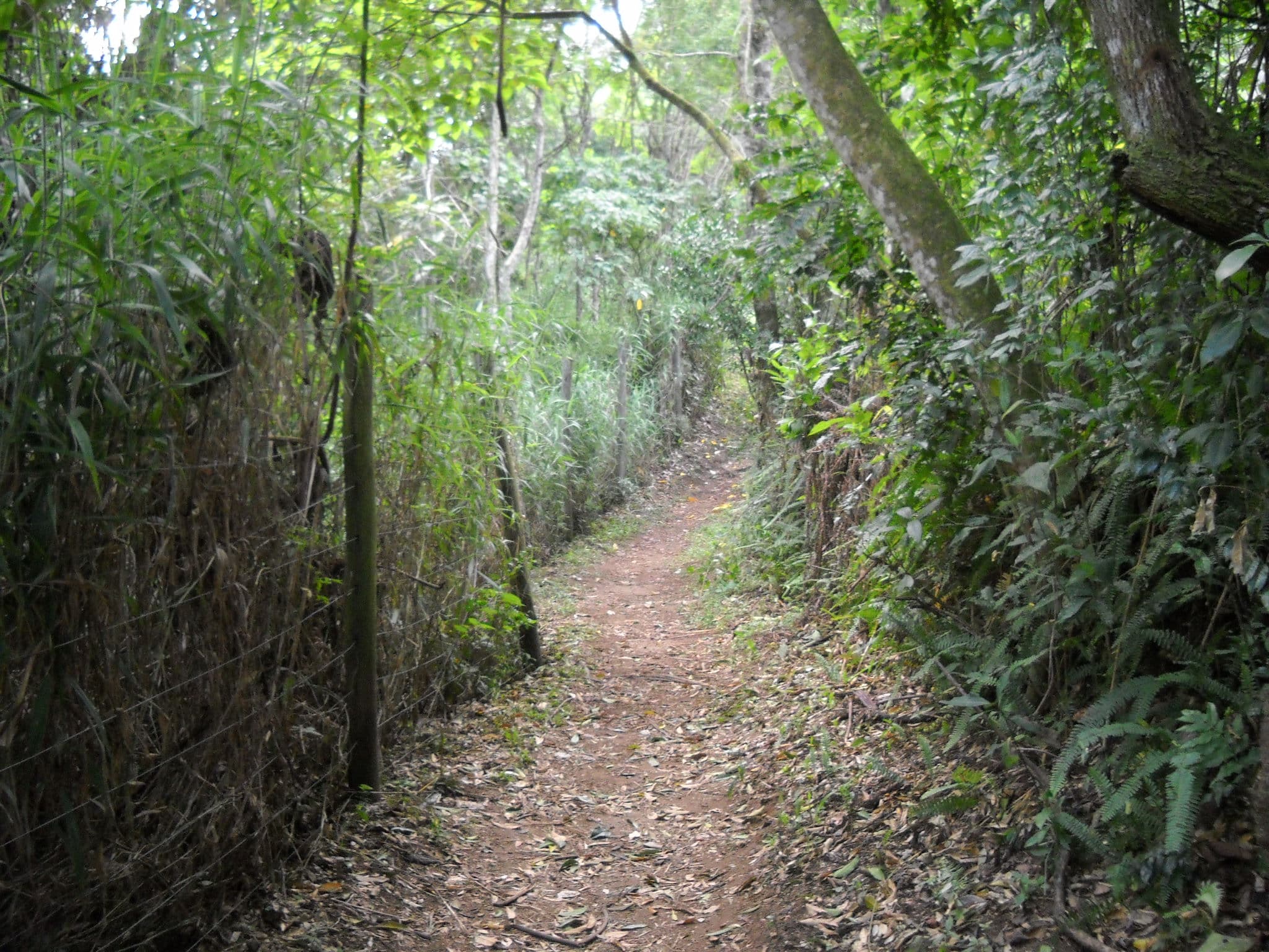 Nature trail · 1.58 km